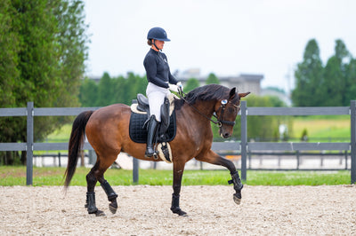 Black Velvet Dressage pad