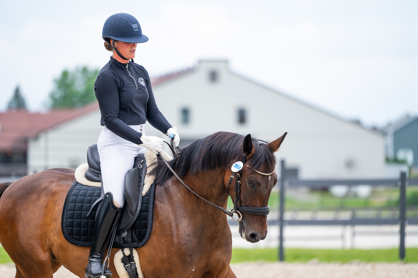 Black Velvet Dressage pad