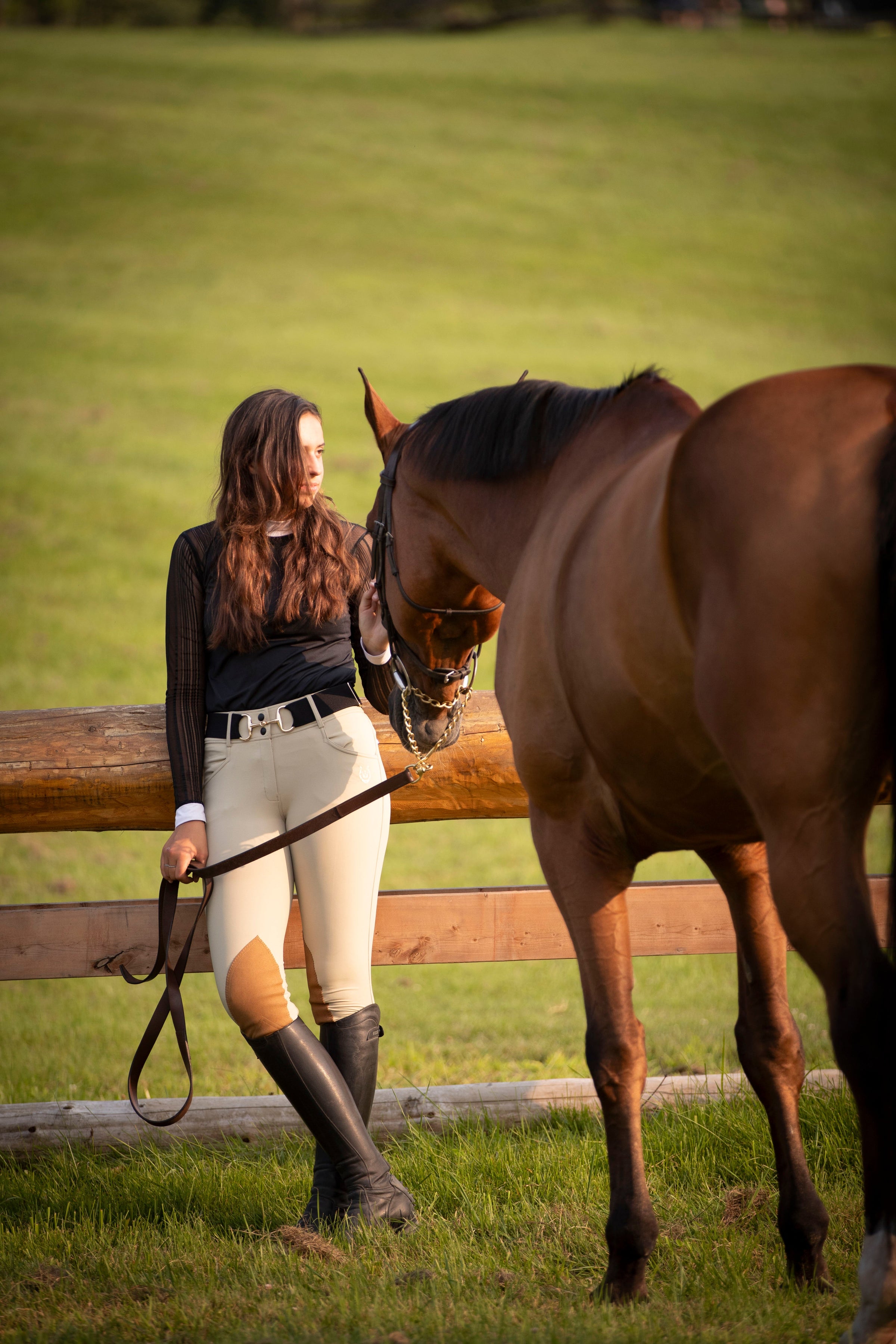 LEVEZA EQUESTRIAN